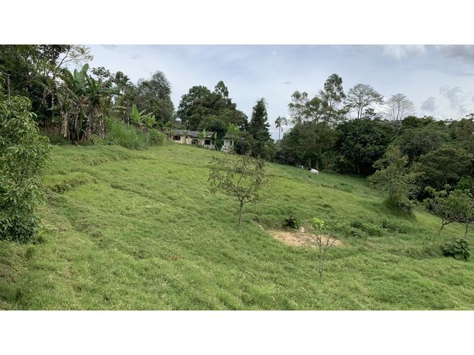 Lote en venta en San Antonio, Armenia, 11445 m² · foto 3 de 19