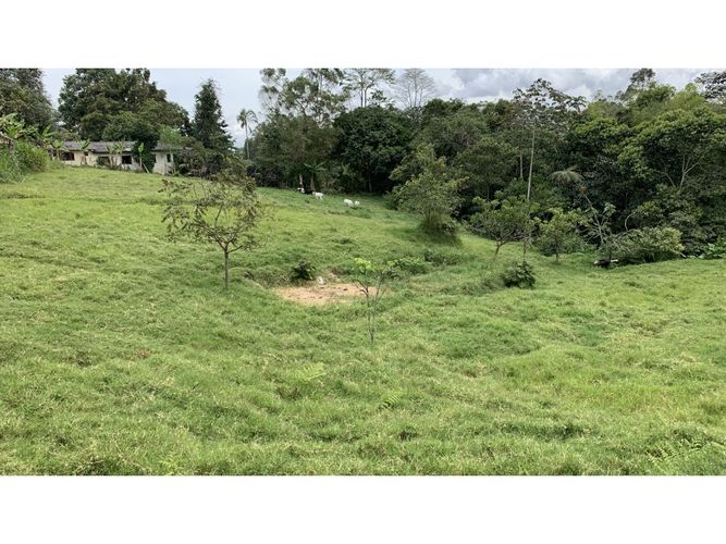 Lote en venta en San Antonio, Armenia, 11445 m² · foto 4 de 19