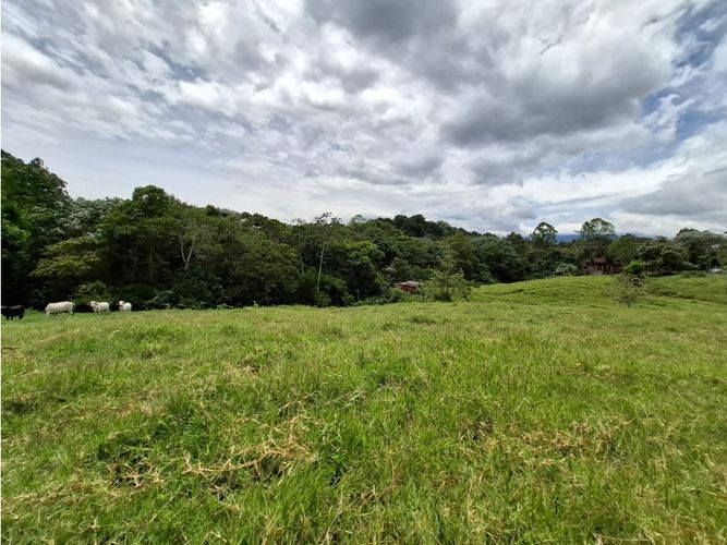 Lote en venta en San Antonio, Armenia, 11445 m² · foto 7 de 19