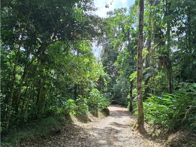 Lote en venta en San Antonio, Armenia, 11445 m² · foto 9 de 19