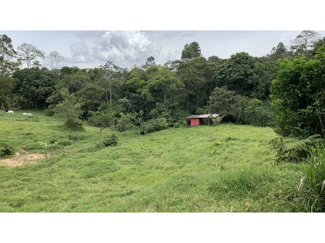Lote en venta en San Antonio, Armenia, 11445 m² · foto 11 de 19