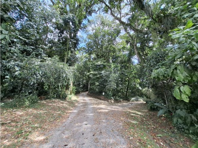 Lote en venta en San Antonio, Armenia, 11445 m² · foto 18 de 19
