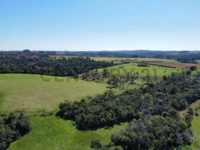 Terreno en venta con Espectacular Vista al Río Paraná en Bella Vista — foto 3