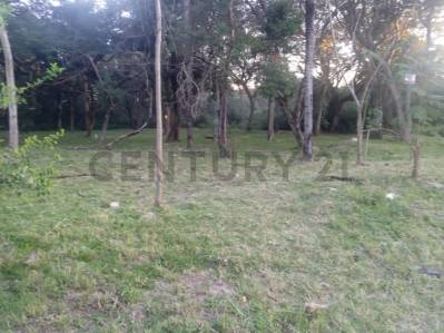 Terreno en Venta – San Bernardino a pocos metros del Country Club — foto 3