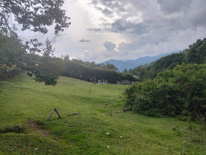 Lote en venta en Pantanillo, El Retiro, 13593 m² · foto 2 de 9