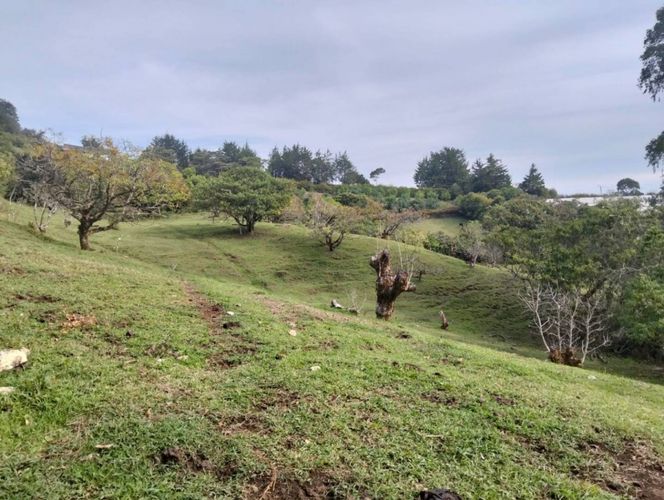 Lote en venta en Pantanillo, El Retiro, 13593 m² · foto 3 de 9
