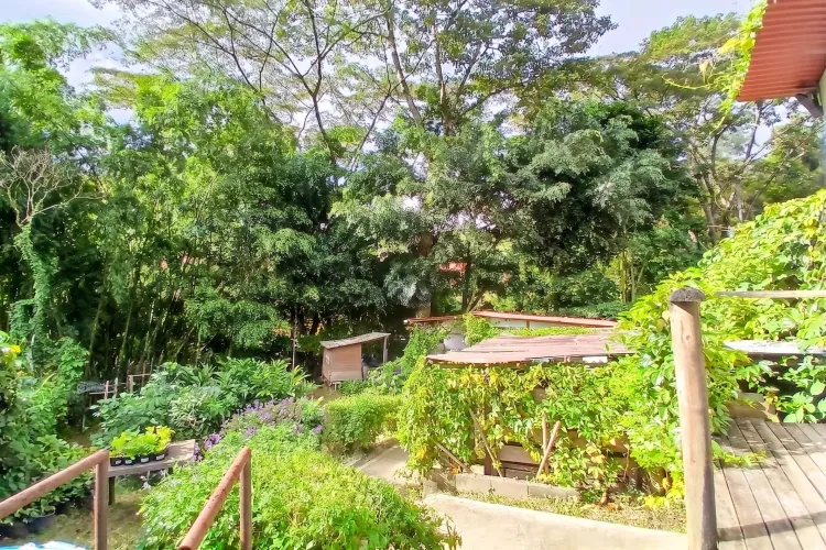 Lote en venta en Loma Del Chocho, Envigado · foto 2 de 5
