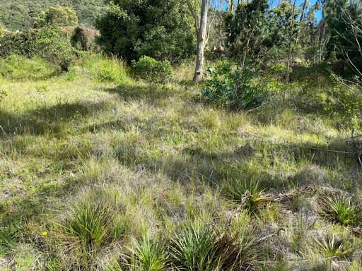 Lote en venta en Tunja, Tunja, 2323 m² · foto 4 de 6