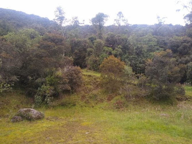 Lote en venta en Paso Real, La Calera, 5652 m² · foto 3 de 8