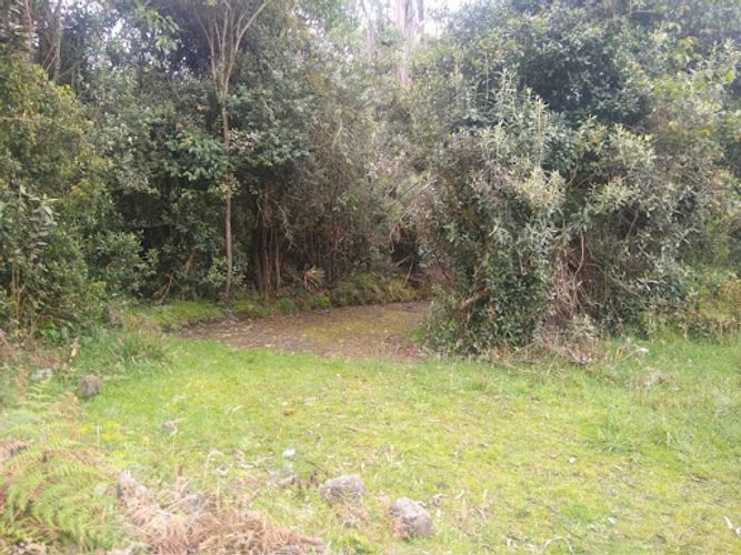 Lote en venta en Paso Real, La Calera, 5652 m² · foto 5 de 8