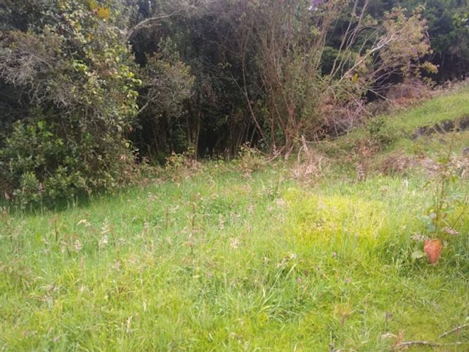 Lote en venta en Paso Real, La Calera, 5652 m² · foto 6 de 8