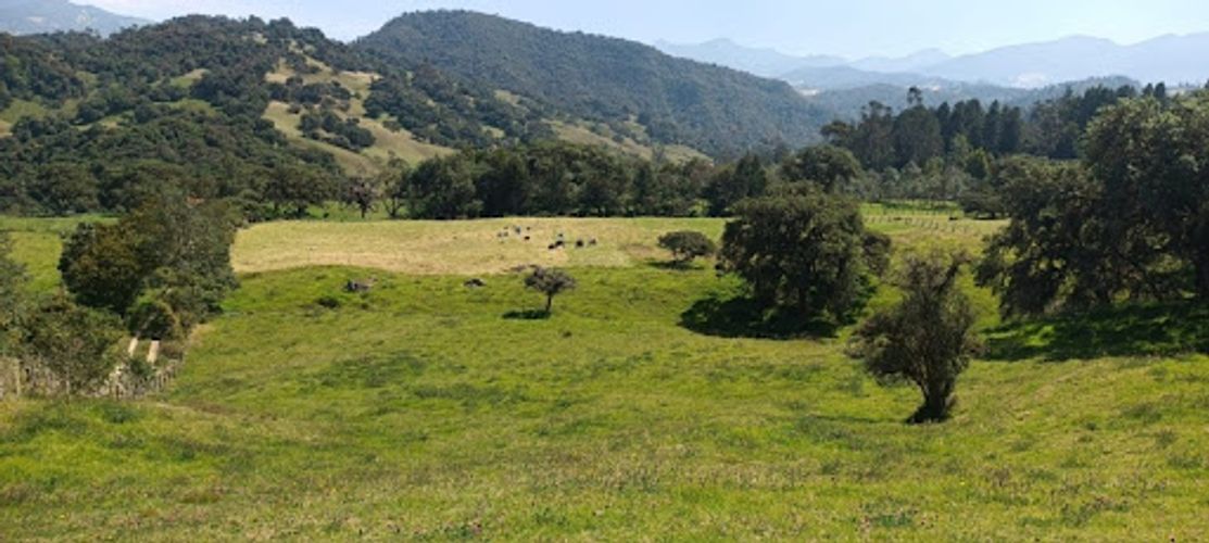 Lote en venta en El Volcan, La Calera, 25600 m² · foto 4 de 19