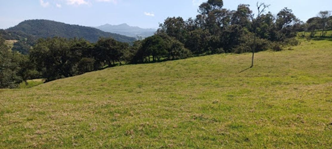 Lote en venta en El Volcan, La Calera, 25600 m² · foto 5 de 19