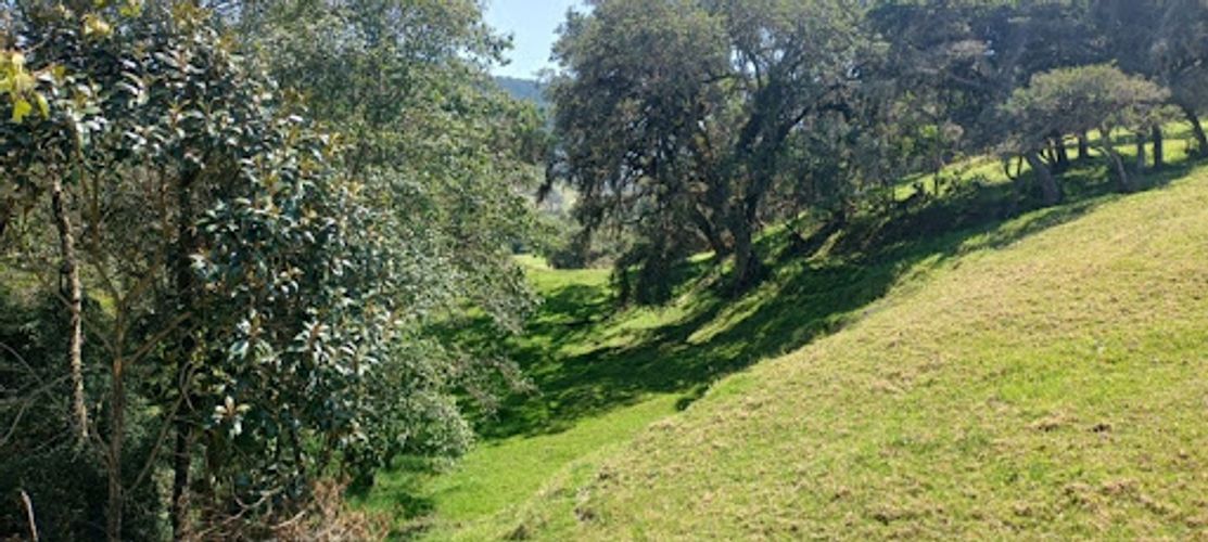 Lote en venta en El Volcan, La Calera, 25600 m² · foto 7 de 19