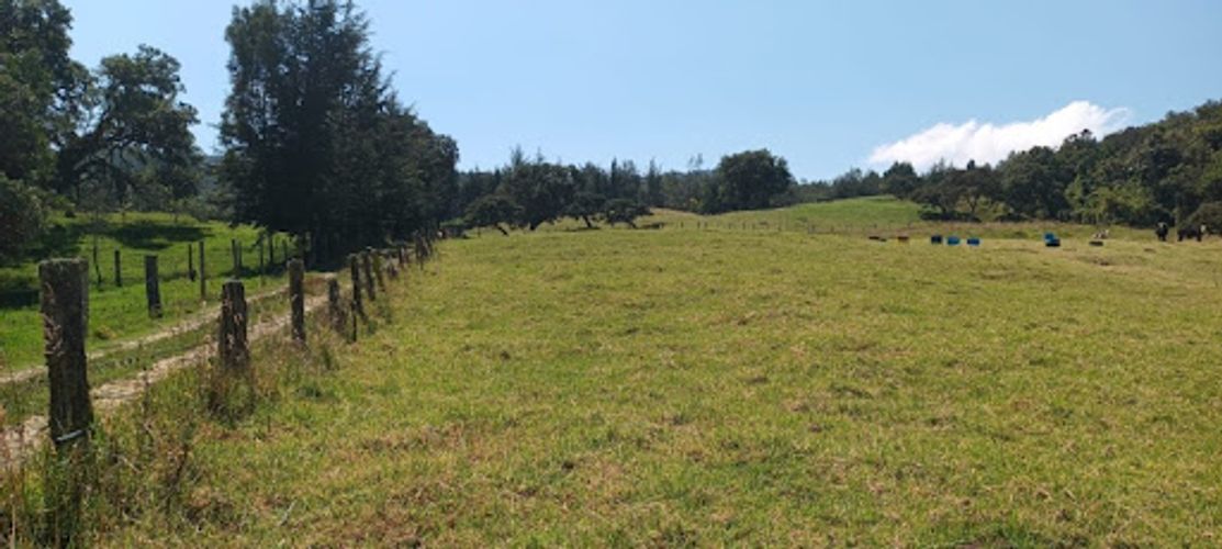 Lote en venta en El Volcan, La Calera, 25600 m² · foto 10 de 19