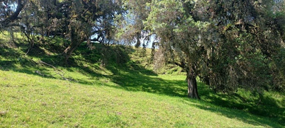 Lote en venta en El Volcan, La Calera, 25600 m² · foto 12 de 19