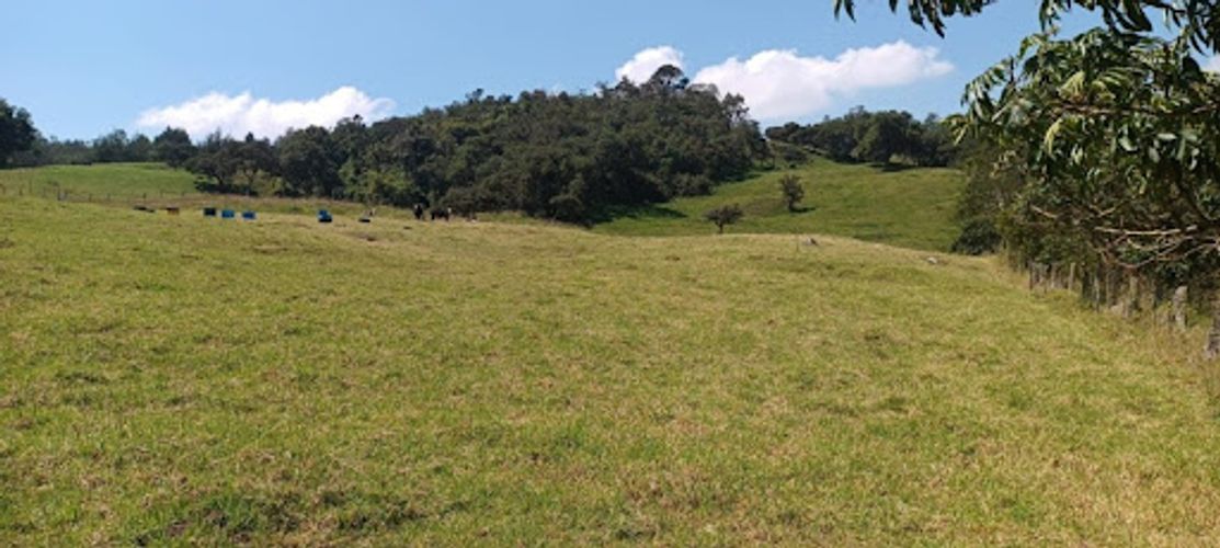 Lote en venta en El Volcan, La Calera, 25600 m² · foto 14 de 19