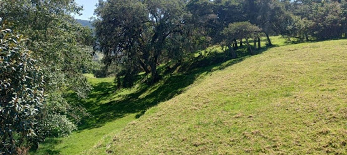 Lote en venta en El Volcan, La Calera, 25600 m² · foto 15 de 19