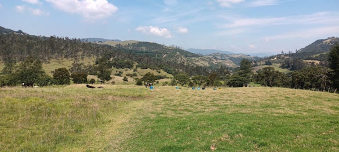 Lote en venta en El Volcan, La Calera, 25600 m² · foto 16 de 19
