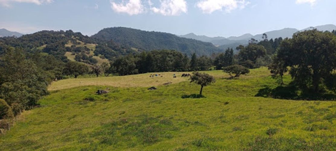 Lote en venta en El Volcan, La Calera, 25600 m² · foto 18 de 19