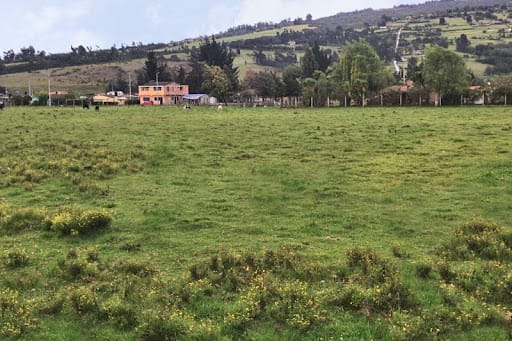 Lote en venta en Centro Tocancipá, Tocancipá, 2770 m² · foto 9 de 12