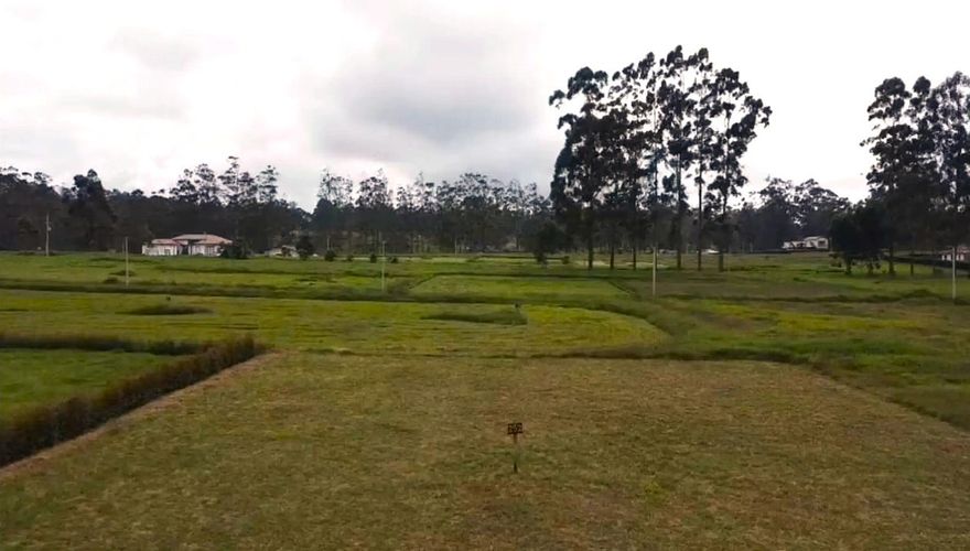 Lote en venta en Mesa De Los Santos, Piedecuesta, 1250 m² · foto 5 de 12