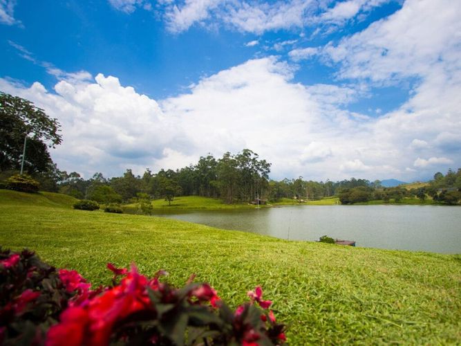 Lote en venta en Mesa De Los Santos, Piedecuesta, 1250 m² · foto 9 de 12