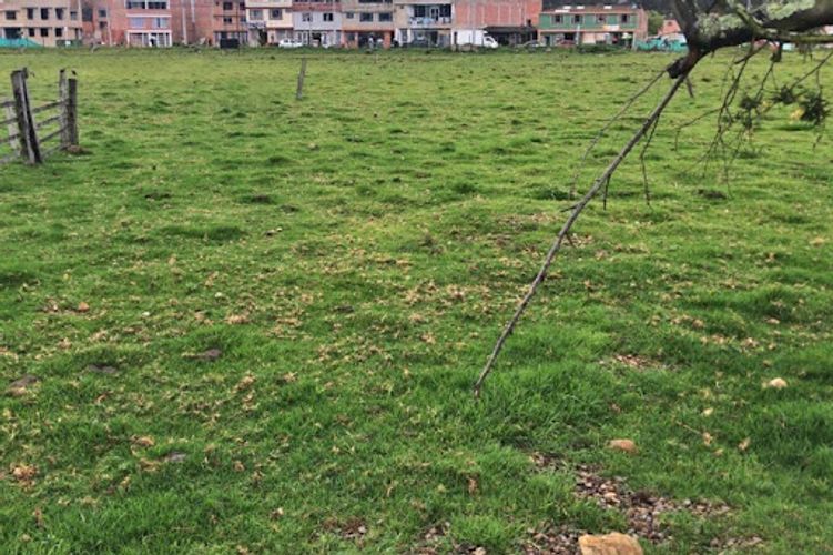Lote en venta en Centro Tocancipá, Tocancipá, 6927 m² · foto 3 de 12