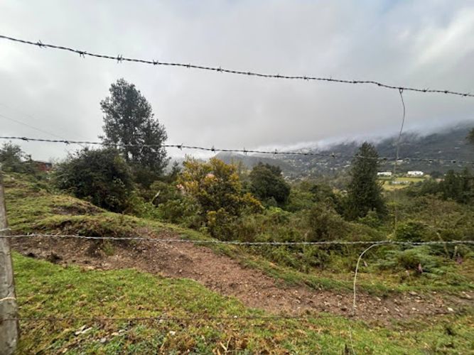 Lote en venta en Paso Real, La Calera, 10687 m² · foto 3 de 11