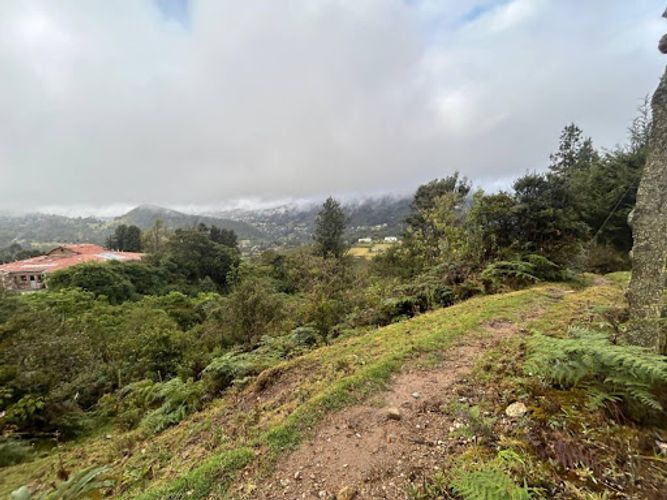 Lote en venta en Paso Real, La Calera, 10687 m² · foto 5 de 11