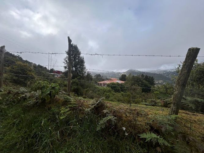 Lote en venta en Paso Real, La Calera, 10687 m² · foto 6 de 11