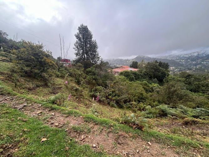 Lote en venta en Paso Real, La Calera, 10687 m² · foto 7 de 11