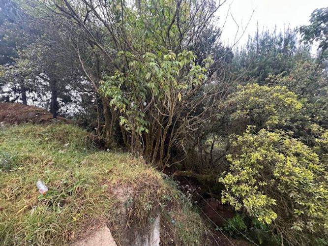 Lote en venta en Paso Real, La Calera, 10687 m² · foto 10 de 11