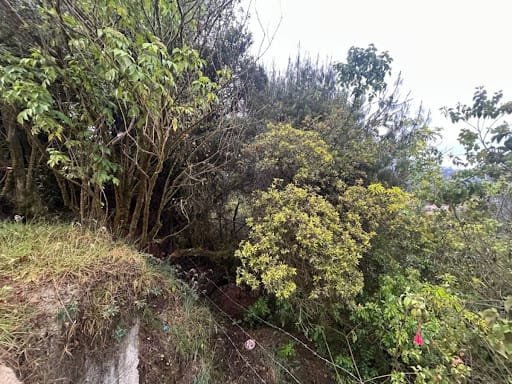 Lote en venta en Paso Real, La Calera, 10687 m² · foto 11 de 11