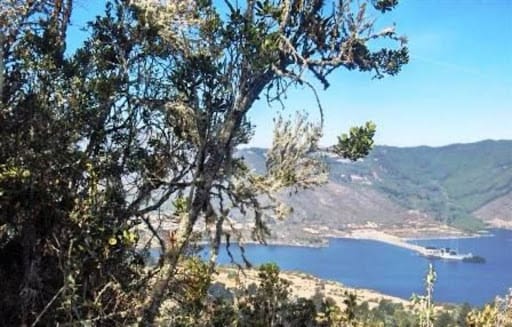 Lote en venta en Paso Real, La Calera, 13000 m² · foto 2 de 14