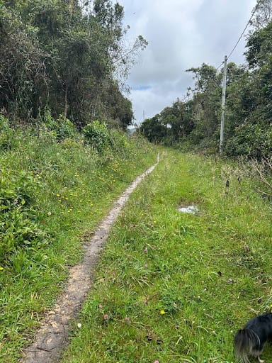 Lote en venta en Paso Real, La Calera, 13000 m² · foto 6 de 14
