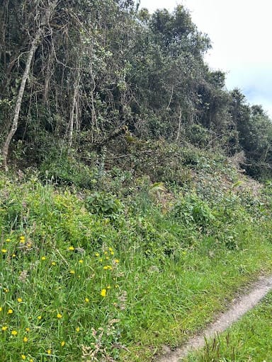 Lote en venta en Paso Real, La Calera, 13000 m² · foto 8 de 14