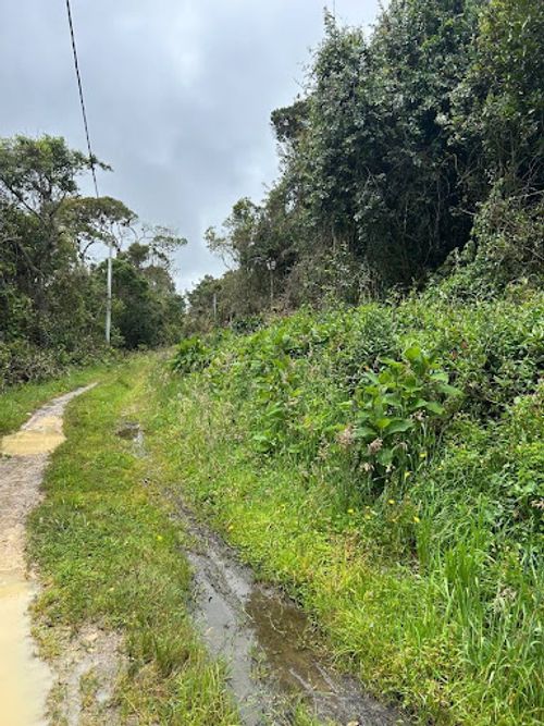 Lote en venta en Paso Real, La Calera, 13000 m² · foto 9 de 14