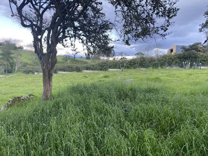 Lote en venta en Gamboa (El Placer), La Calera, 5 m² · foto 4 de 6