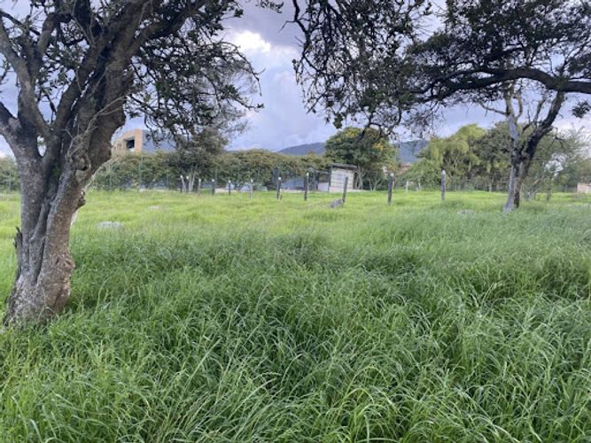 Lote en venta en Gamboa (El Placer), La Calera, 5 m² · foto 5 de 6