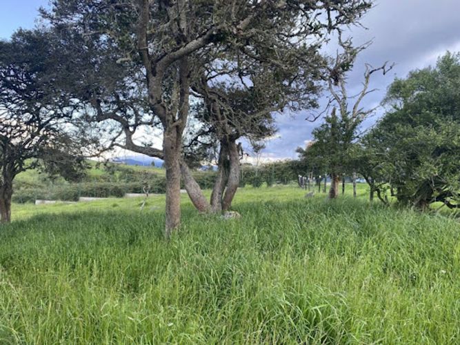 Lote en venta en Gamboa (El Placer), La Calera, 5 m² · foto 6 de 6