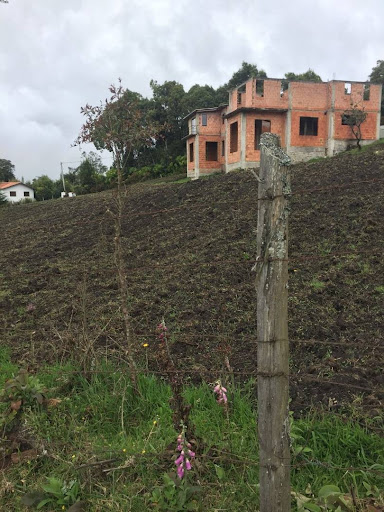 Casa en venta en Frailejonal, La Calera · foto 2 de 23