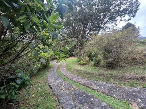 Casa en venta en Paso Real, La Calera · foto 18 de 24