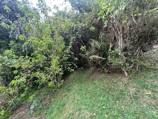 Casa en venta en Paso Real, La Calera · foto 21 de 24