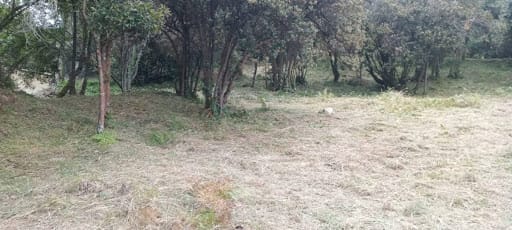 Lote en venta en Meusa, La Calera, 1768 m² · foto 4 de 12