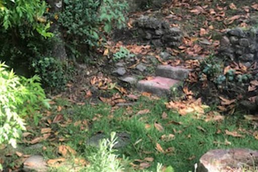 Casa en venta en Bosque De Pinos, Bogotá · foto 13 de 17