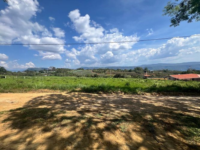 Lote en venta en Mesa De Los Santos, Piedecuesta, 1250 m² · foto 6 de 8