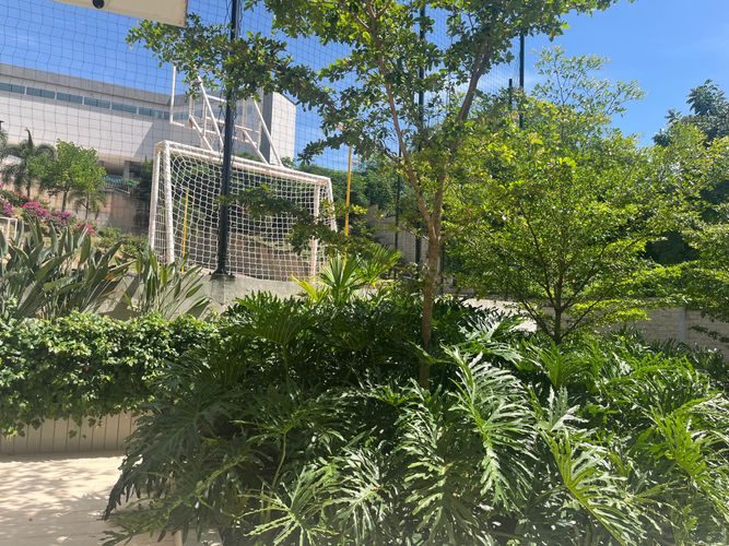 Lote en venta en Ruitoque, Floridablanca, 457 m² · foto 12 de 15