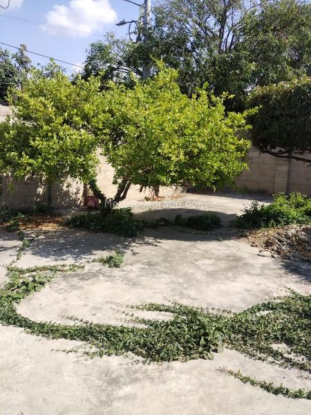 Casa en venta en Los Alcazares, Santa Marta · foto 16 de 20