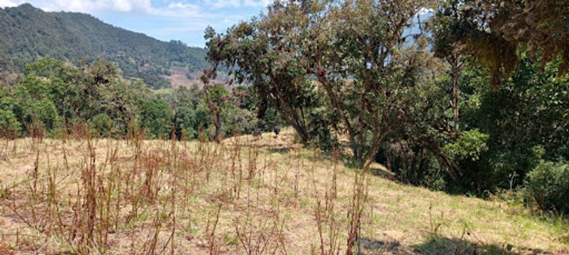 Lote en venta en Paso Real, La Calera, 11287 m² · foto 3 de 9